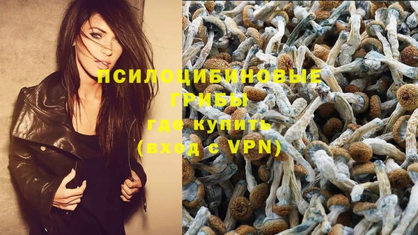 Альфа ПВП Балахна
