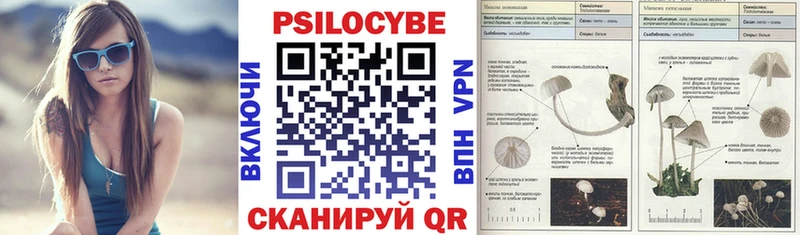 Псилоцибиновые грибы мухоморы  гидра зеркало  Углегорск 